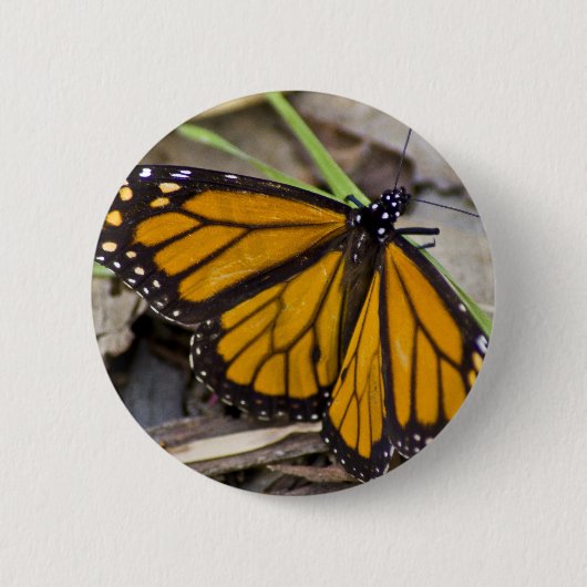 Monarch Butterfly Ronde Button 5,7 Cm (Voorkant)