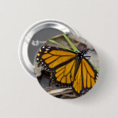 Monarch Butterfly Ronde Button 5,7 Cm (Voorkant /achterkant)