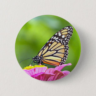 Monarch Butterfly Ronde Button 5,7 Cm