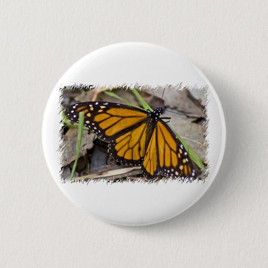 Monarch Butterfly Ronde Button 5,7 Cm (Voorkant)
