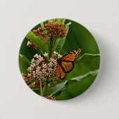 Monarch Butterfly Ronde Button 5,7 Cm (Voorkant)