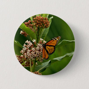 Monarch Butterfly Ronde Button 5,7 Cm