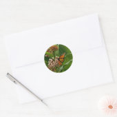 Monarch Butterfly Ronde Sticker (Envelop)