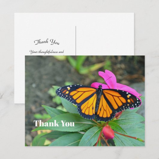 Monarch Butterfly Roze Bloemen Foto Dank u Briefkaart (Voorkant / Achterkant)