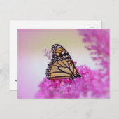 Monarch Butterfly september Briefkaart (Voorkant / Achterkant)