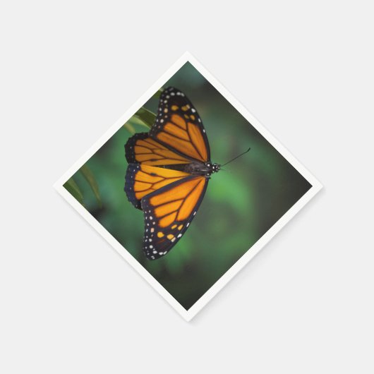 Monarch Butterfly Servet (Hoek)
