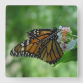  monarch Butterfly Square Wall klok (Voorkant)