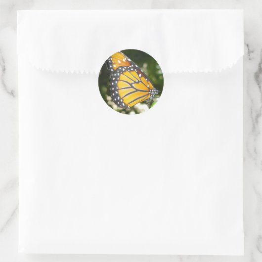 Monarch Butterfly Sticker (Tas)