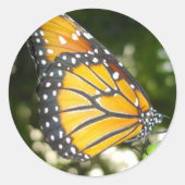Monarch Butterfly Sticker (Voorkant)