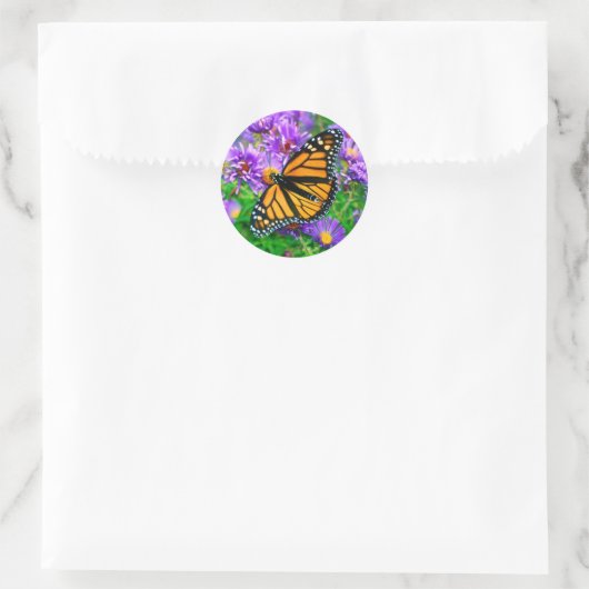 Monarch Butterfly Sticker (Tas)