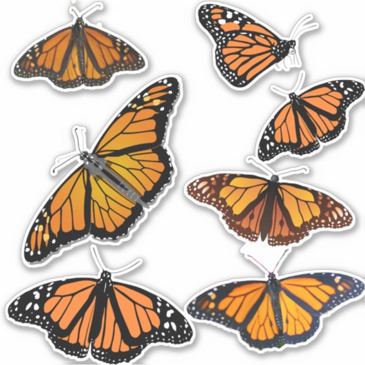 Monarch Butterfly Sticker (Voorkant)