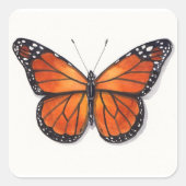 Monarch Butterfly Sticker (Voorkant)