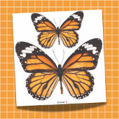 Monarch Butterfly Sticker Sheet