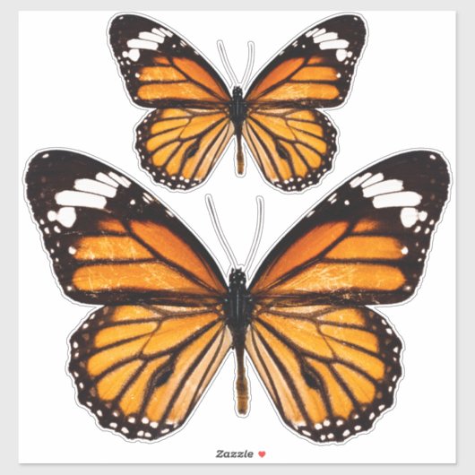 Monarch Butterfly Sticker Sheet (Vel)