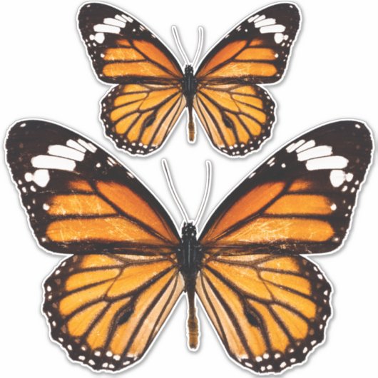 Monarch Butterfly Sticker Sheet (Voorkant)