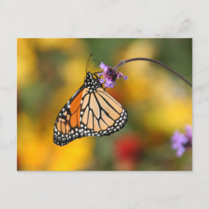 Monarch Butterfly Stoffen voor stuifmeel Briefkaart