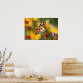 Monarch Butterfly Stoffen voor stuifmeel Poster (Keuken)