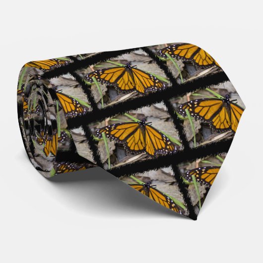 Monarch Butterfly Stropdas (Opgerold)