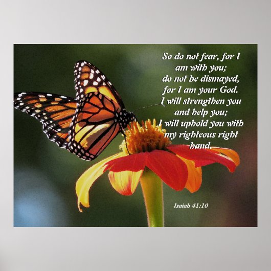 Monarch Butterfly Sunflower Flower Poster (Voorkant)