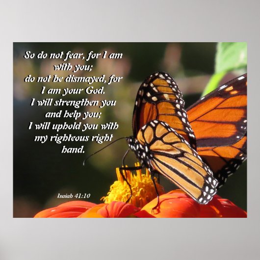 Monarch Butterfly Sunflower Flower Poster (Voorkant)