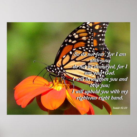 Monarch Butterfly Sunflower Flower Poster (Voorkant)