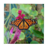 Monarch Butterfly Tegeltje (Voorkant)