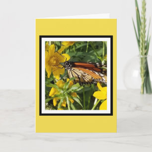 MONARCH BUTTERFLY - VERJAARDAG KAART