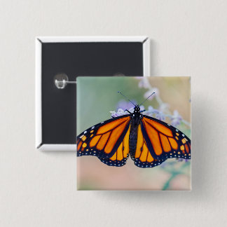 Monarch Butterfly Vierkante Button 5,1 Cm