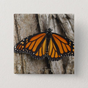 Monarch Butterfly Vierkante Button 5,1 Cm