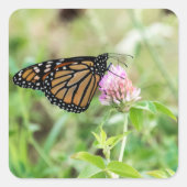 Monarch Butterfly Vierkante Sticker (Voorkant)