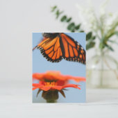 Monarch Butterfly vliegt Briefkaart (Staand voorkant)