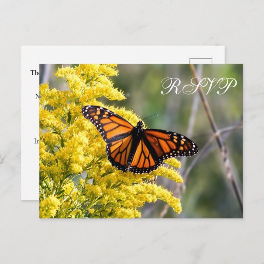 Monarch Butterfly Wedding RSVP Briefkaart (Voorkant / Achterkant)