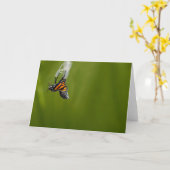 Monarch Butterfly, Wenskaart Kaart (Gele Bloem)