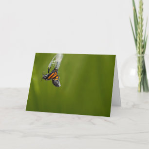 Monarch Butterfly, Wenskaart Kaart