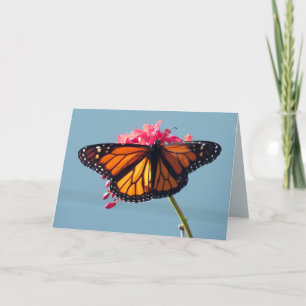Monarch Butterfly Wenskaart Kaart