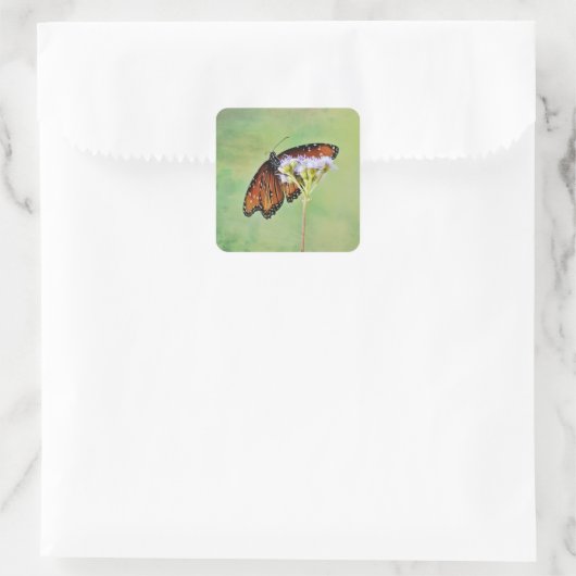 Monarch Butterfly Wildflower Sticker (Tas)