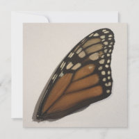 Monarch Butterfly wingt op papier