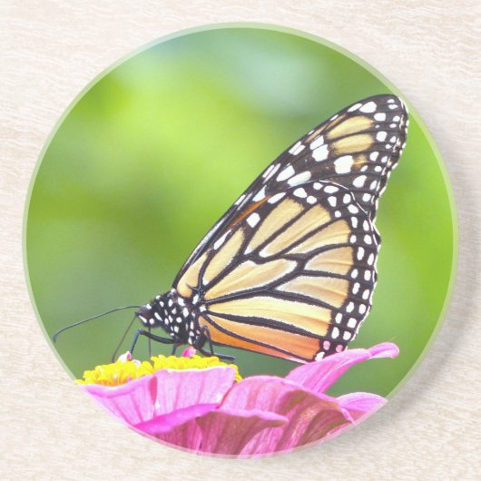 Monarch Butterfly Zandsteen Onderzetter (Voorkant)