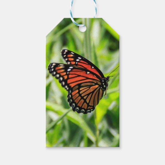 Monarch Cadeaulabel (Voorkant)