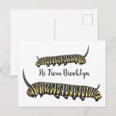 Monarch caterpijler cartoon illustratie briefkaart (Voorkant / Achterkant)