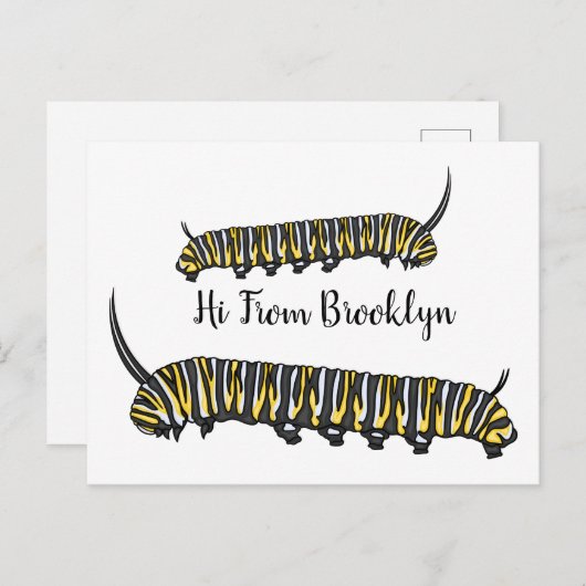 Monarch caterpijler cartoon illustratie briefkaart (Voorkant / Achterkant)