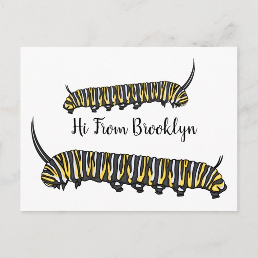 Monarch caterpijler cartoon illustratie briefkaart (Voorkant)