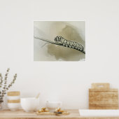 Monarch Caterpillar Art Print (Keuken)