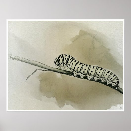 Monarch Caterpillar Art Print (Voorkant)