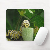 MONARCH CATERPILLAR mousepad Muismat (Met muis)