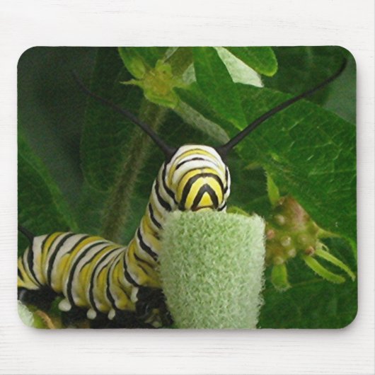 MONARCH CATERPILLAR mousepad Muismat (Voorkant)