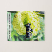 Monarch Caterpillar & Swan Plant Seed 110 Pcs Legpuzzel (Horizontaal)