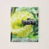 Monarch Caterpillar & Swan Plant Seed 110 Pcs Legpuzzel (Verticaal)