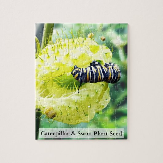 Monarch Caterpillar & Swan Plant Seed 110 Pcs Legpuzzel (Verticaal)
