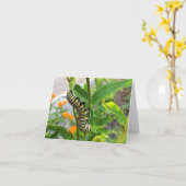 Monarch Caterstone Kaart (Gele Bloem)